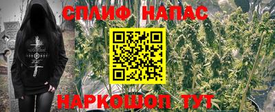 каннабис Кунгур