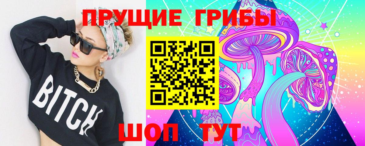 Псилоцибиновые грибы мицелий Каменск-Уральский