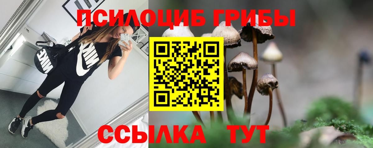 Каменск-Уральский  как найти закладки  Вход с VPN  Галлюциногенные грибы MAGIC MUSHROOMS 